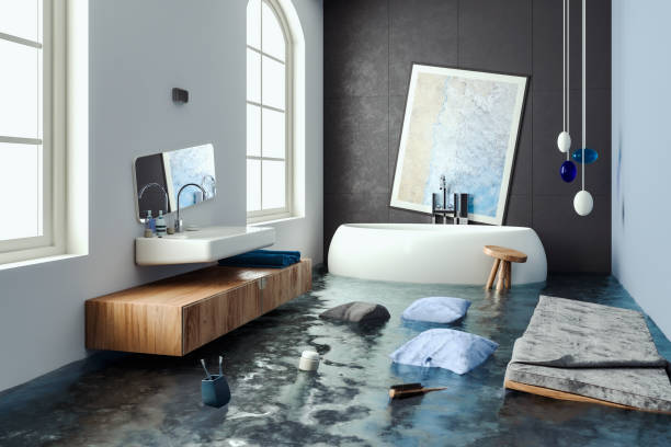 Best 24/7 water damage repair  in Battle Mountain, NV