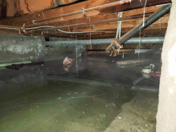 Best Residential water damage restoration  in Battle Mountain, NV