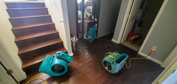 Best Carpet water damage restoration  in Battle Mountain, NV