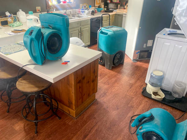 Best Mold removal after water damage  in Battle Mountain, NV