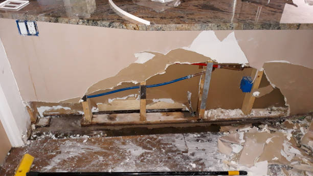 Best Flood restoration services  in Battle Mountain, NV