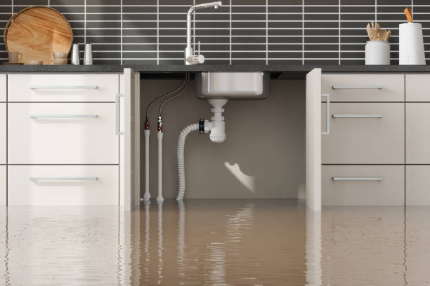 Best 24-hour water damage restoration  in Battle Mountain, NV